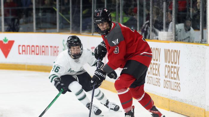 Ottawa's Zoe Boyd and Boston's Loren Gabel of the Professional Women's Hockey League (PWHL) struggle for the puck during first period action in Ottawa, Ontario, Canada January 24, 2024. REUTERS/Patrick Doyle