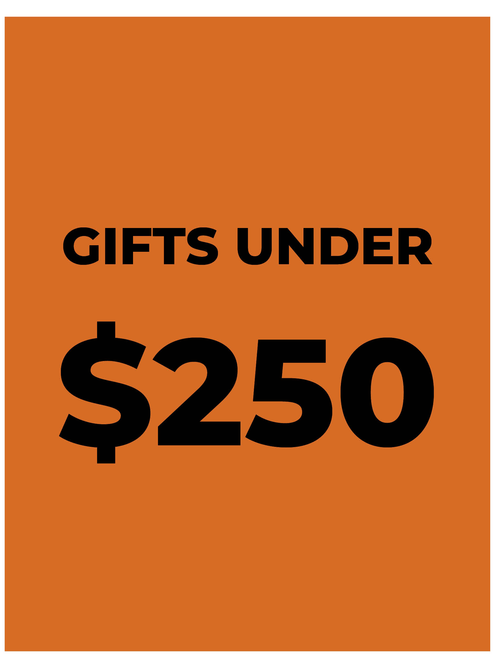 gifts-under-250-banner21.jpg